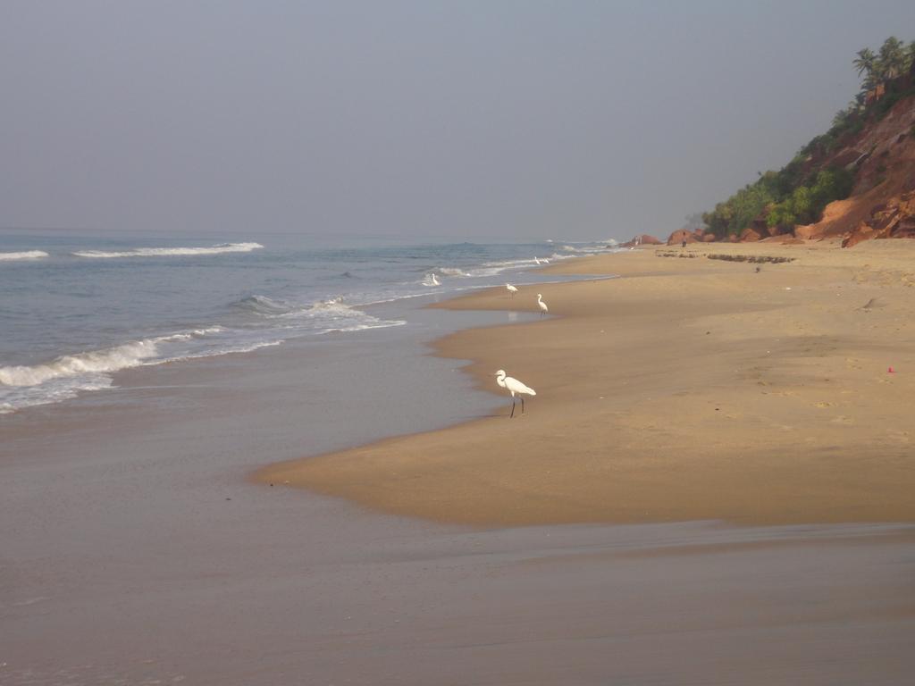 The Oceano Varkala Exterior foto